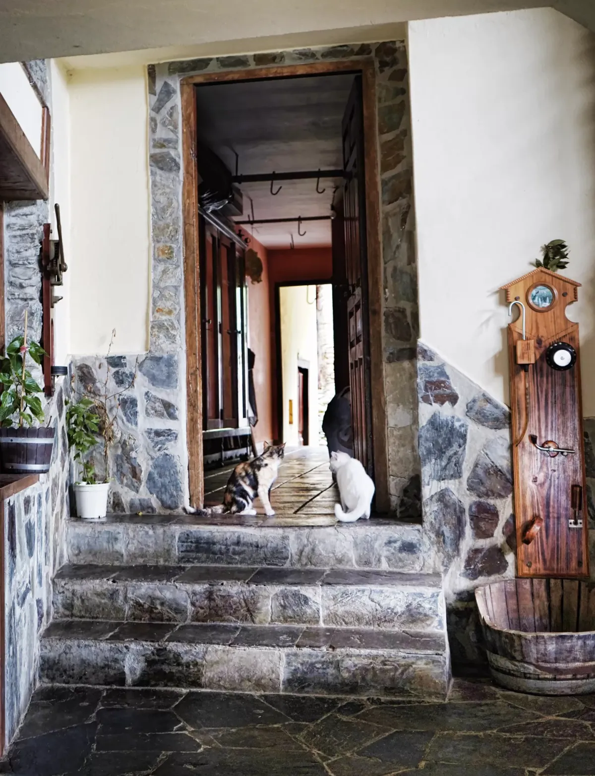 Entrada a la casa con la puerta abierta donde se encuentran dos gatos sentados